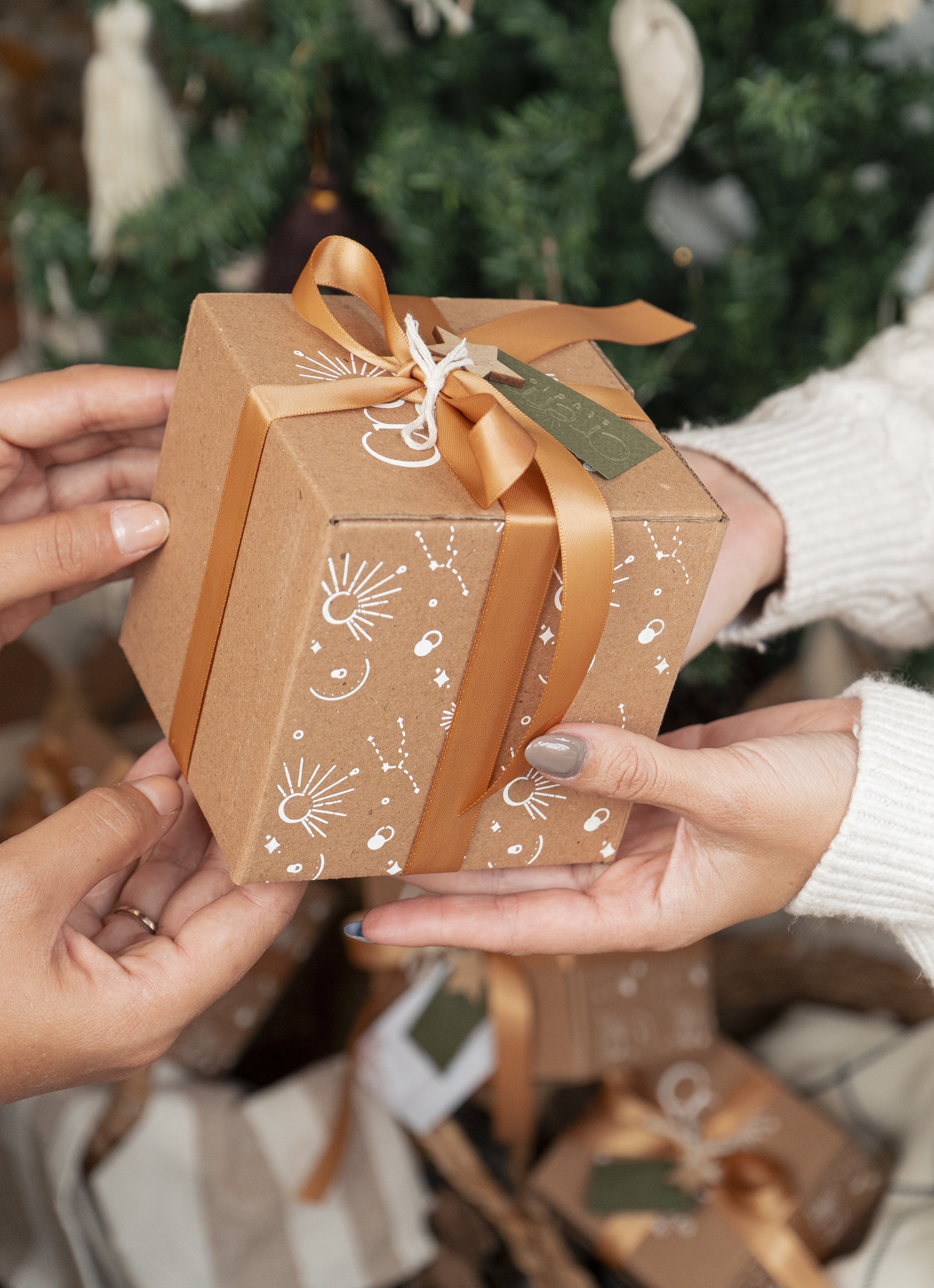 VELA BOSQUE EN INVIERNO